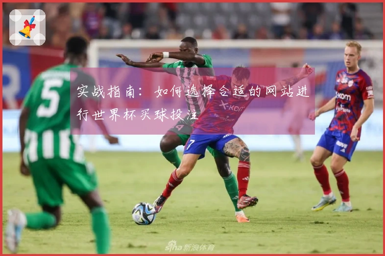 实战指南：如何选择合适的网站进行世界杯买球投注