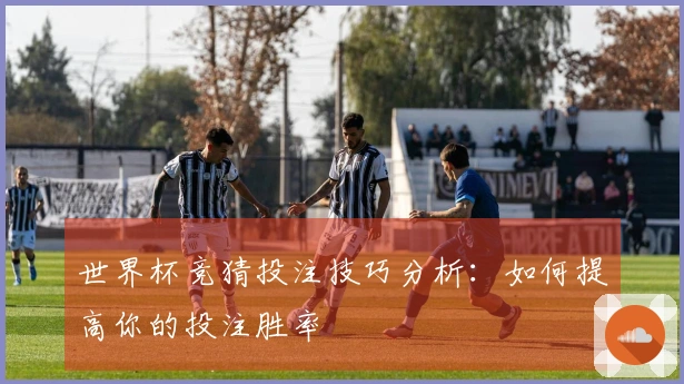 世界杯竞猜投注技巧分析：如何提高你的投注胜率