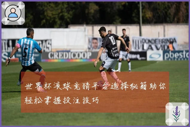 世界杯滚球竞猜平台选择秘籍助你轻松掌握投注技巧